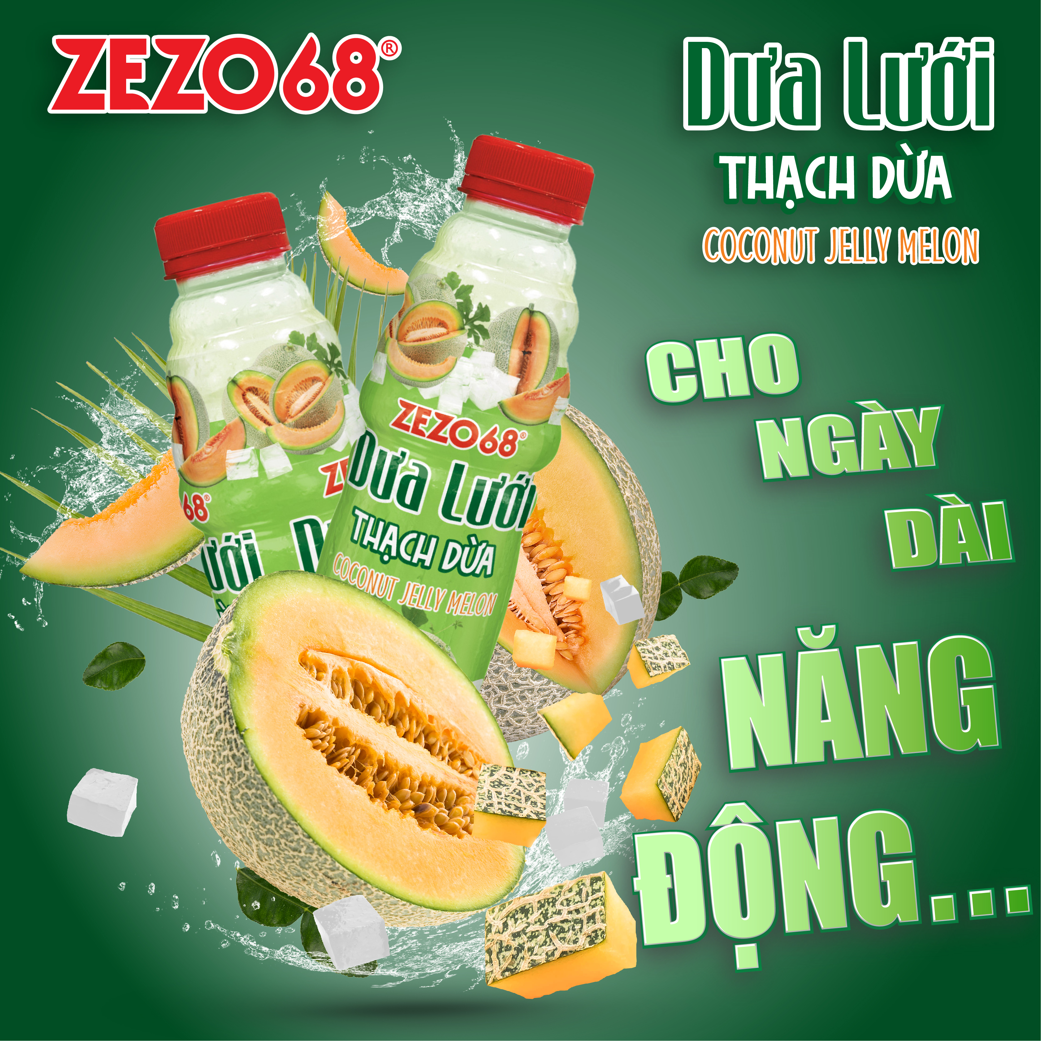 55 DƯA LƯỚI-01